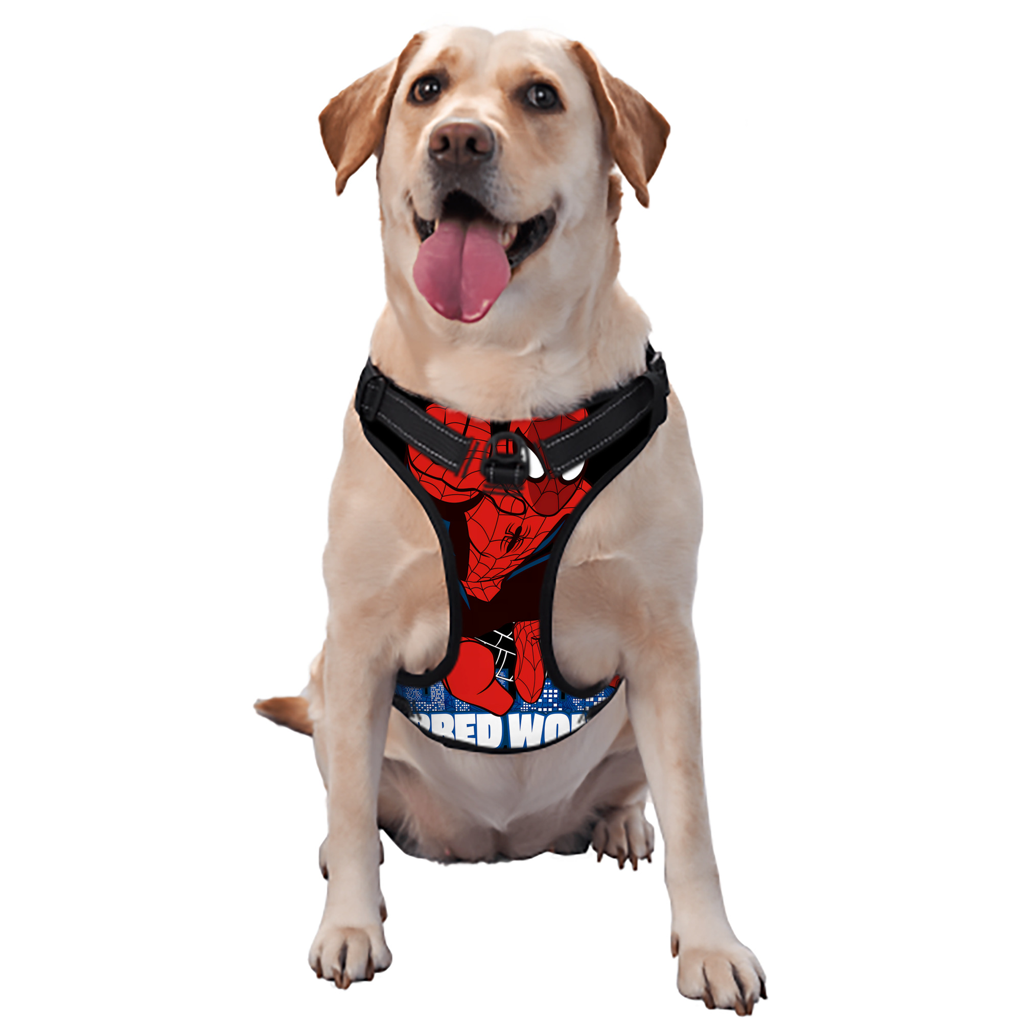 （画像用） Spider Man スパイダーマン ペット用ハーネス